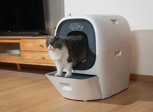 Effortless Cleaning with Self-Cleaning Box