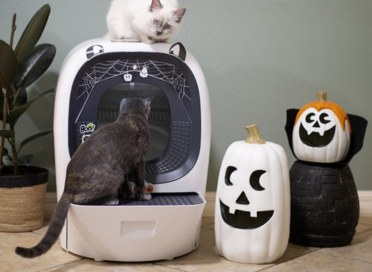 A Stress-Free Halloween for Your Cats: The RealScooper Pro Smart Litter Box Advantage