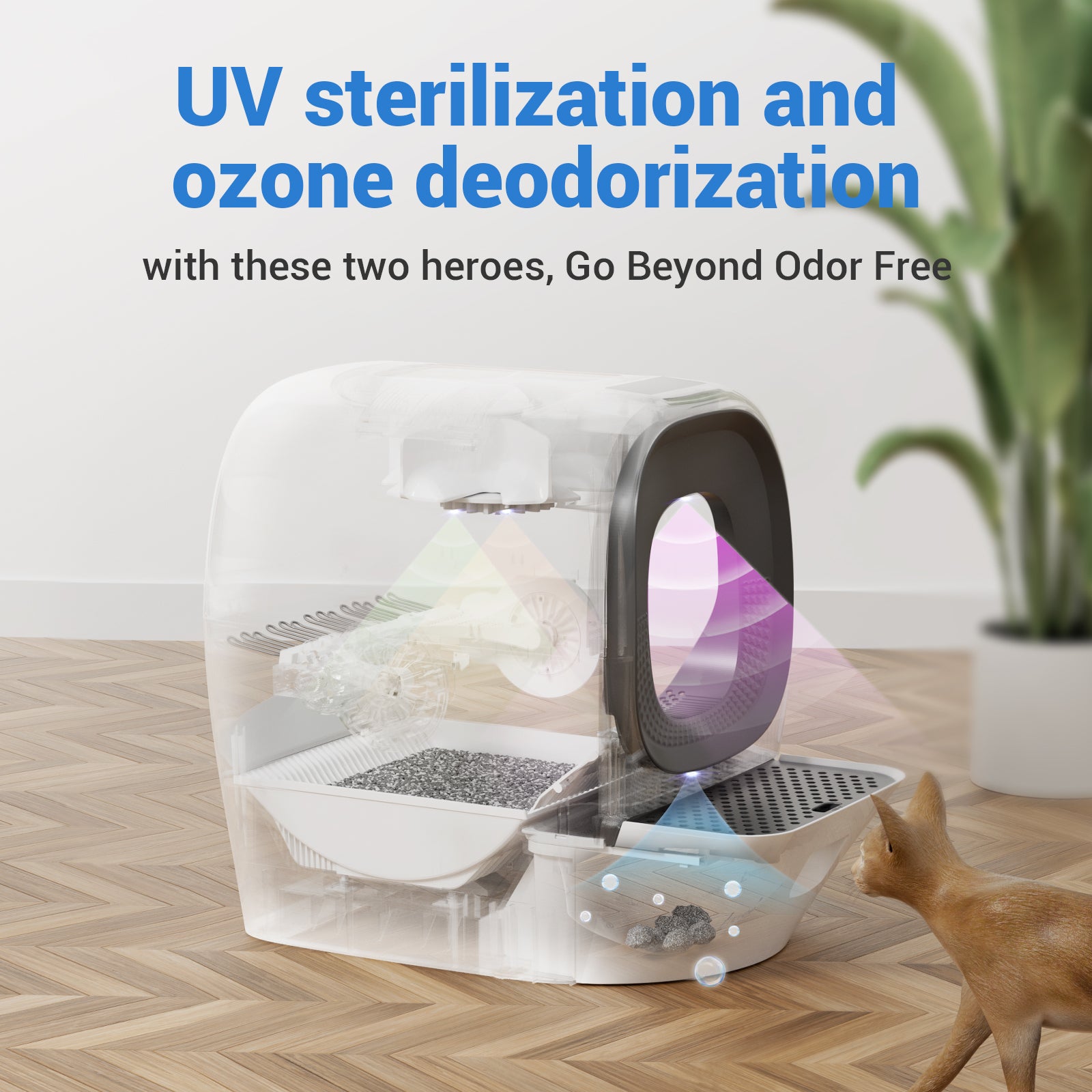 Self-Refilling RealScooper - LalaHome