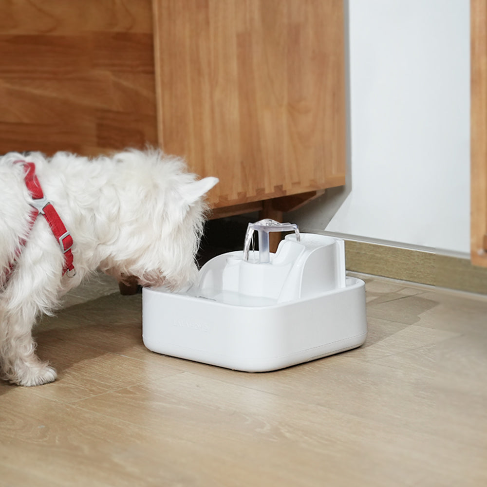DailyFresh RealFountain Bowl Pro 替換件-USB Type-C