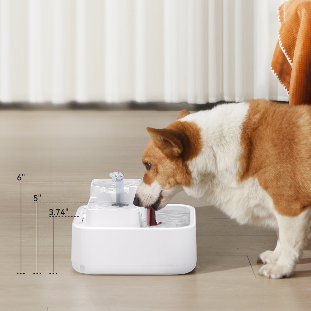 DailyFresh RealFountain Bowl Pro 替換件-USB Type-C