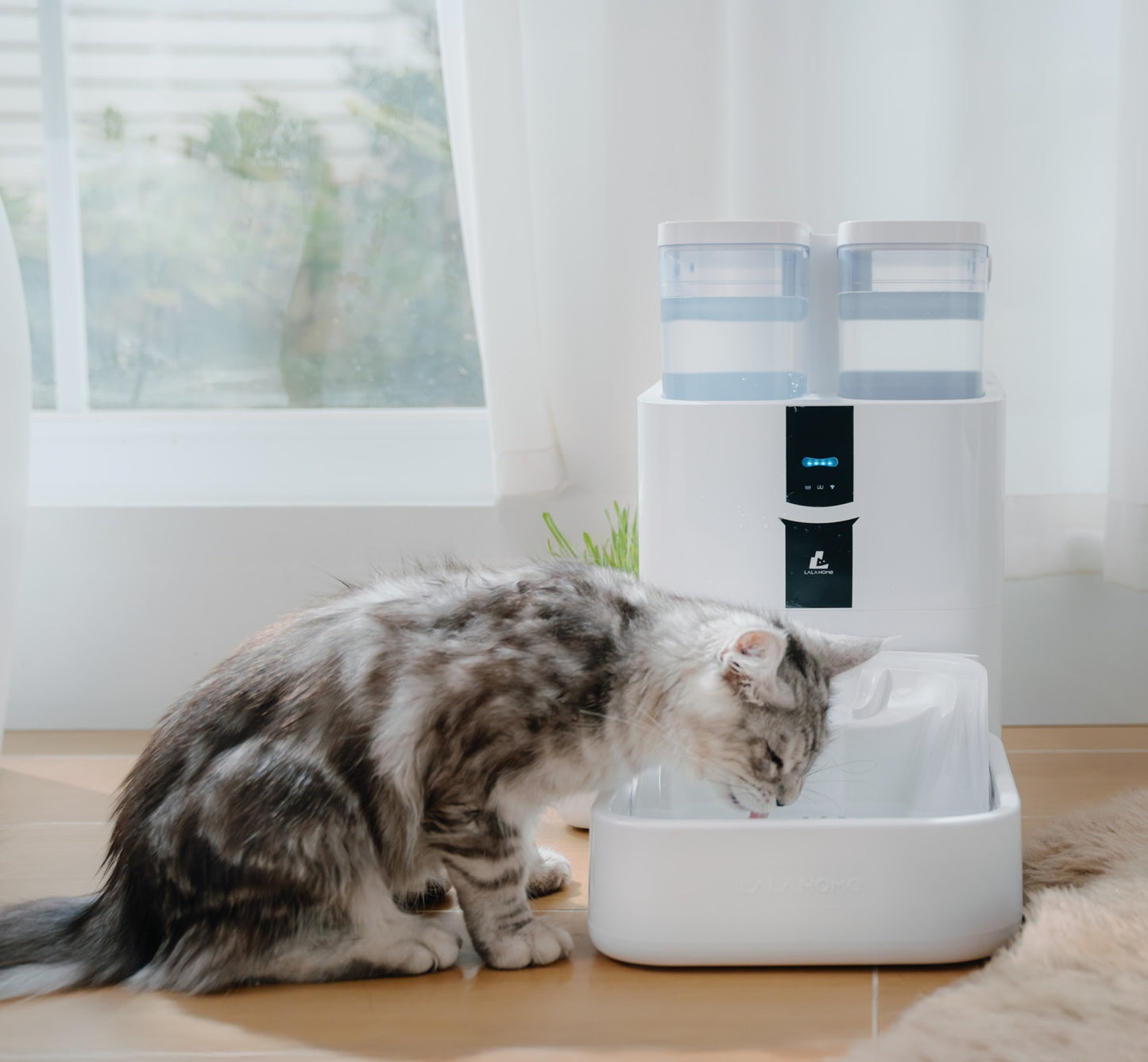 DailyFresh RealFountain Bowl Pro Remplacement-USB Type-C
