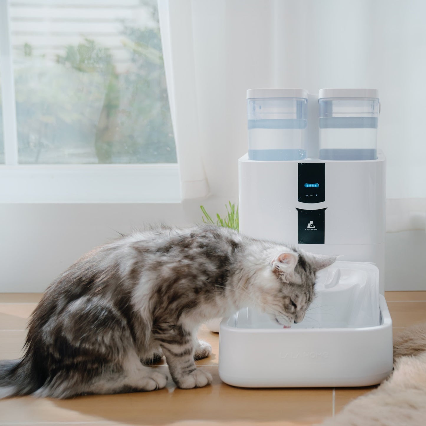 Fontaine pour animaux DailyFresh RealFountain