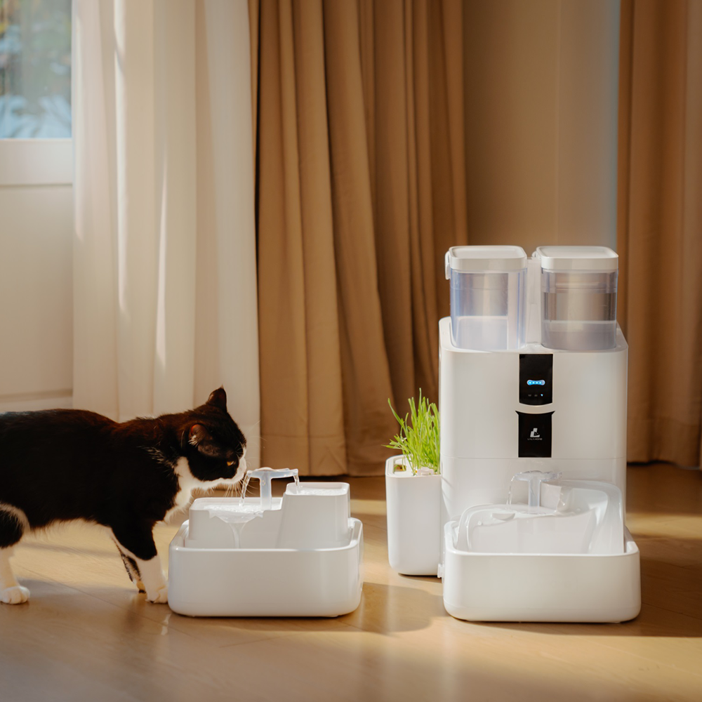 Fontaine pour animaux DailyFresh RealFountain