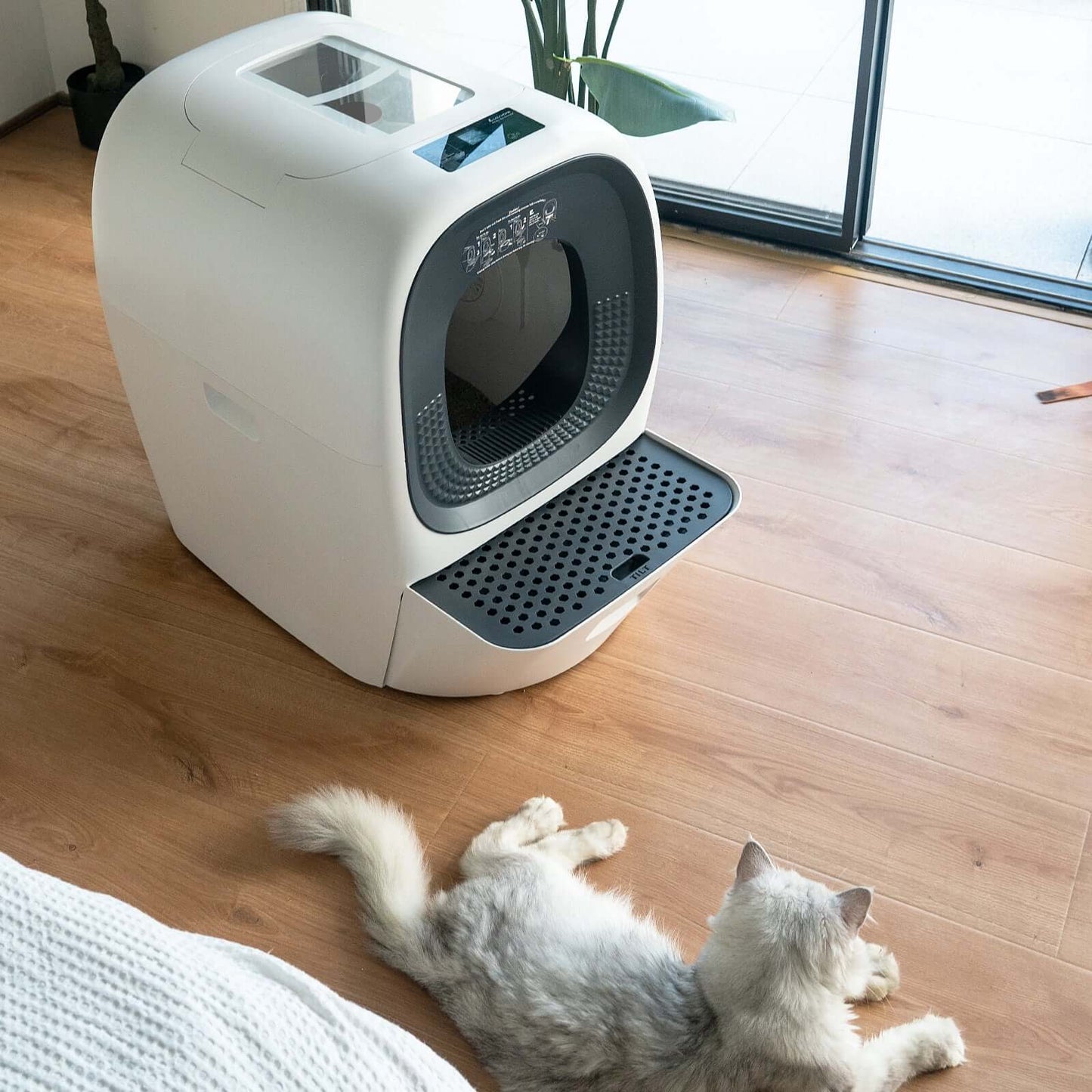 Self-Refilling RealScooper - LalaHome