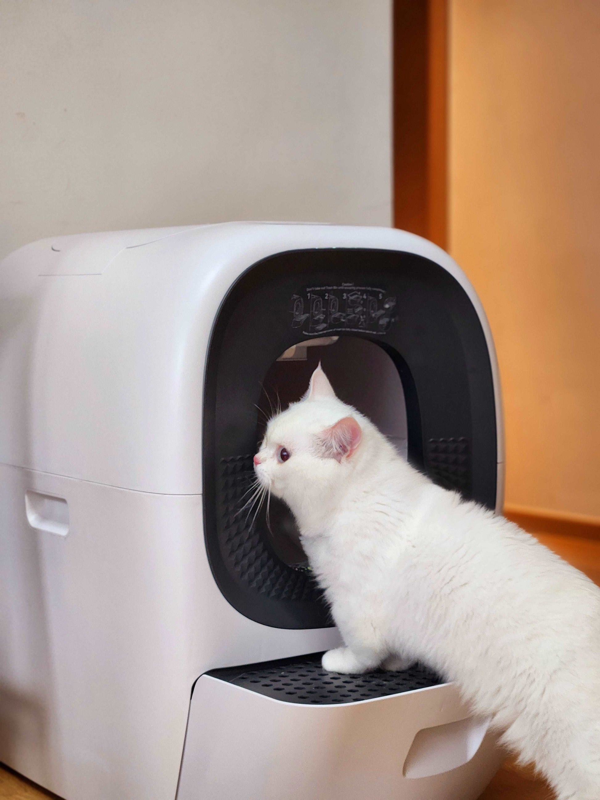 Self-Refilling RealScooper - LalaHome