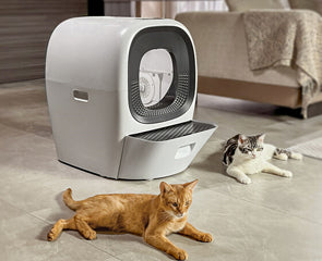 Revolutionizing Pet Care: The World's First Automatic Litter Refilling Smart Litter Box - LALAHOME RealScooper