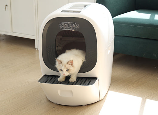 Never Run Out: Self-Refill Cat Litter Box