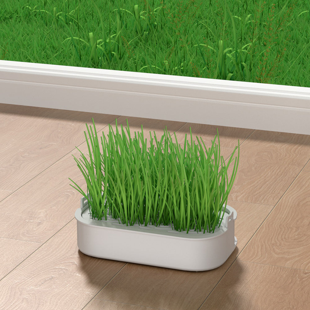 Pot de plantation pour herbe à chat