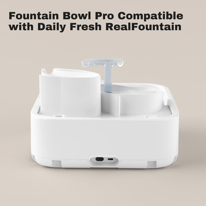 DailyFresh RealFountain Bowl Pro Remplacement-USB Type-C