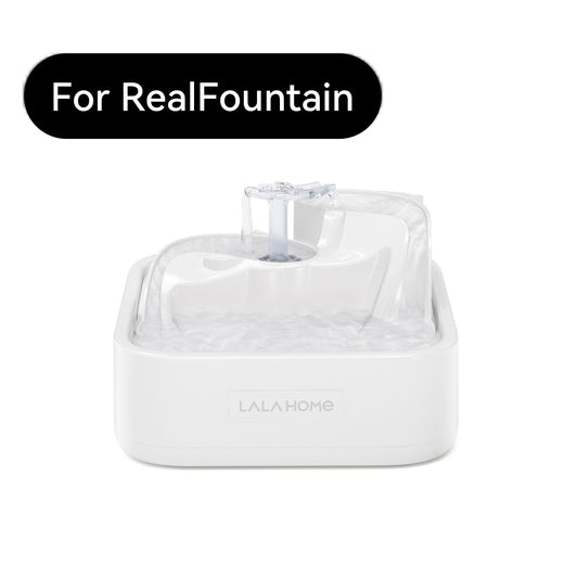 DailyFresh RealFountain Bowl Pro Remplacement-USB Type-C