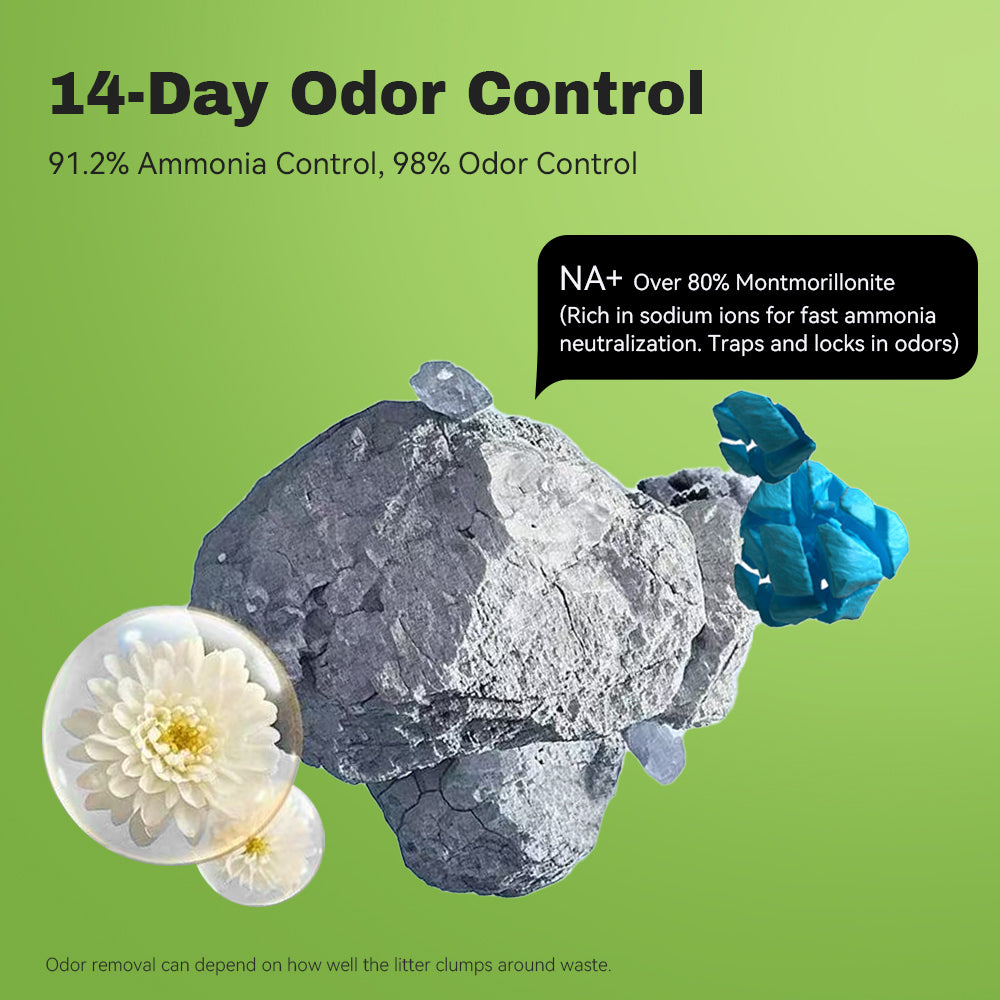 LALAHOME Upgrade Bentonite Litter Sodium Mineral Cat Litter