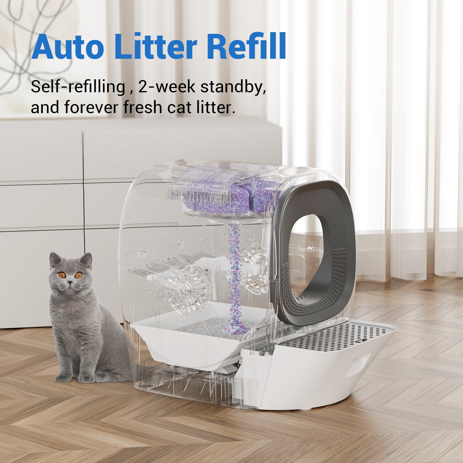 Self-Refilling RealScooper - LalaHome