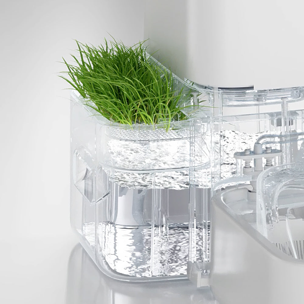 Pot de plantation pour herbe à chat