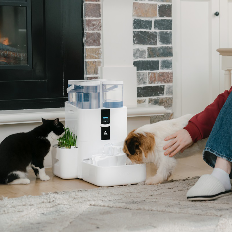 Fontaine pour animaux DailyFresh RealFountain