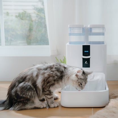 Fontaine pour animaux DailyFresh RealFountain