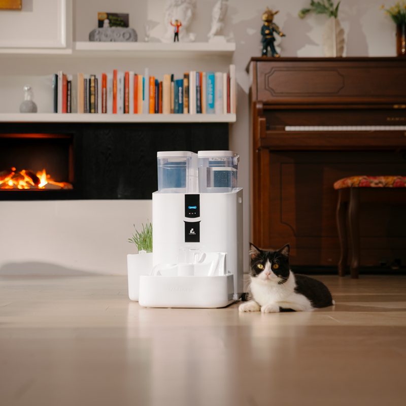 Fontaine pour animaux DailyFresh RealFountain