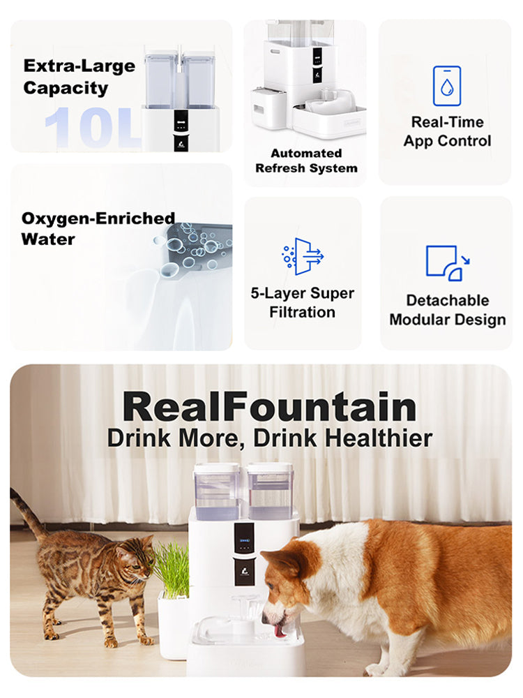 DailyFresh Pet Water Fountain